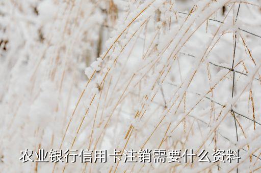 農(nóng)業(yè)銀行信用卡注銷需要什么資料