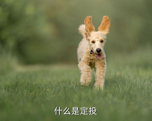 什么是單次定投金額，基金的單次購買和定投的區(qū)別