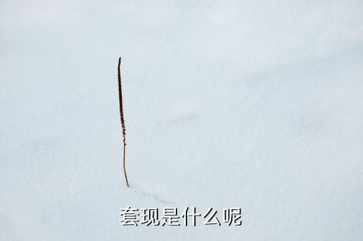 套現(xiàn)是什么呢