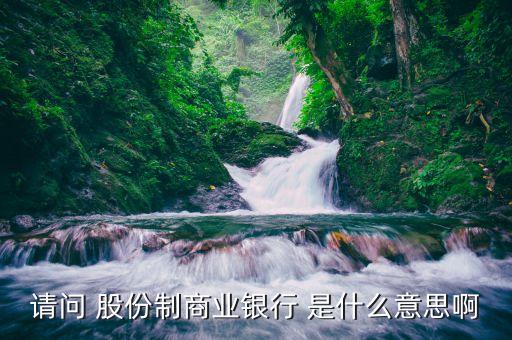 什么是股份制商業(yè)銀行，請問 股份制商業(yè)銀行 是什么意思啊