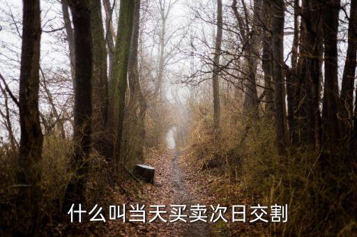 什么叫當天買賣次日交割