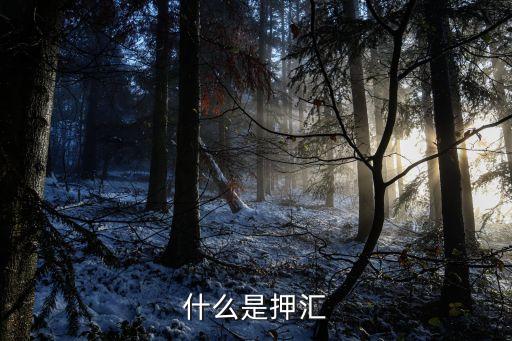 押匯利息是什么，請問這里的利息具體是什么按什么計算的