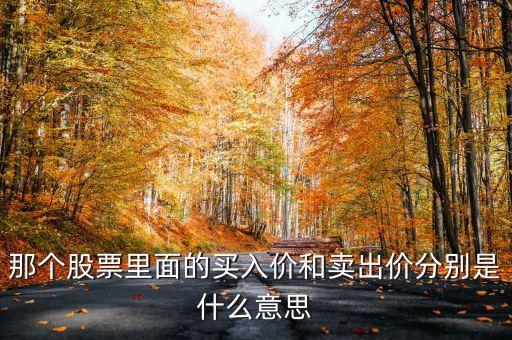 那個(gè)股票里面的買(mǎi)入價(jià)和賣(mài)出價(jià)分別是什么意思