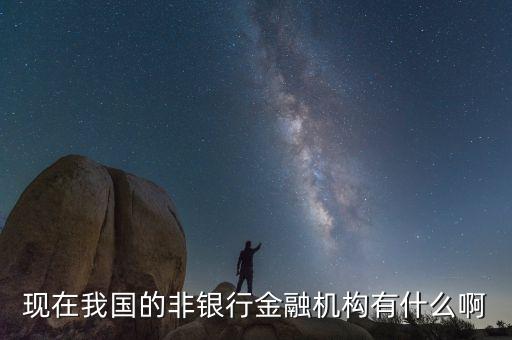 非金融行業(yè)包括什么，現(xiàn)在我國的非銀行金融機構有什么啊