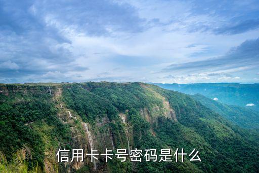 信用卡卡號密碼是什么