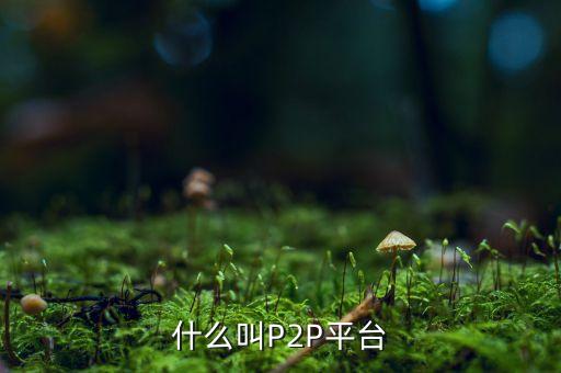 什么叫P2P平臺