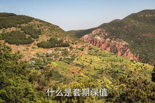 什么是套期保值