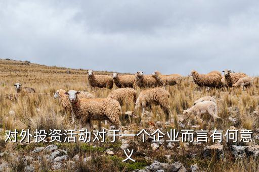 對(duì)外投資活動(dòng)對(duì)于一個(gè)企業(yè)而言有何意義
