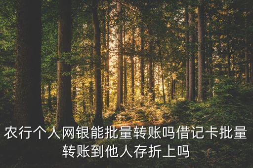 農(nóng)行個人網(wǎng)銀能批量轉賬嗎借記卡批量轉賬到他人存折上嗎