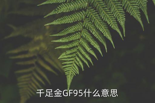 千足金GF95什么意思