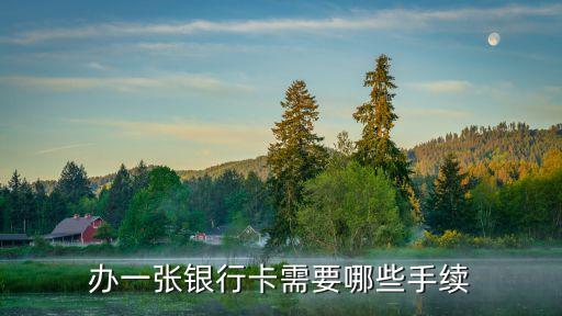 辦一張銀行卡需要哪些手續(xù)