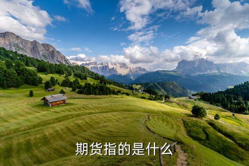 期貨屬于什么性質(zhì)，請(qǐng)問期貨公司是一個(gè)什么性質(zhì)的單位