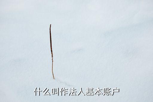 企業(yè)法人賬戶是什么，大智慧TOP數(shù)據(jù)里的法人帳號是指什么機(jī)構(gòu)
