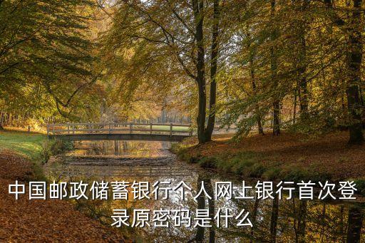 中國郵政儲蓄銀行個人網(wǎng)上銀行首次登錄原密碼是什么