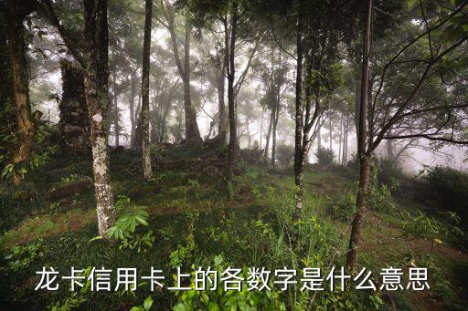 信用卡有幾個(gè)數(shù)字代表什么，銀行卡上各個(gè)數(shù)字代表了什么意思