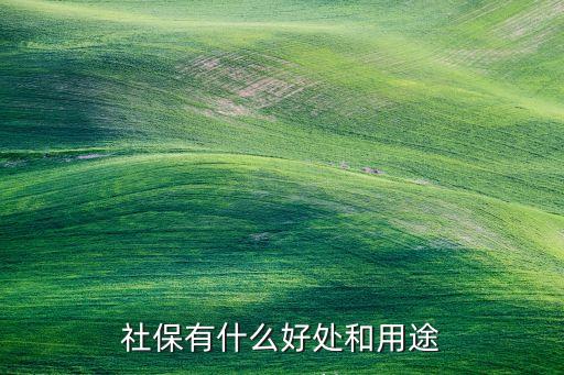 社保含什么好處，社保有哪些好處