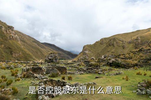 控股股東是什么意思，何謂控股股東有幾個含義
