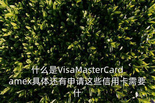什么是VisaMasterCardamex具體還有申請這些信用卡需要什