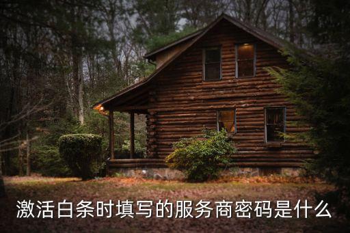 激活京東白條密碼是什么情況，激活白條填寫(xiě)的運(yùn)營(yíng)商服務(wù)密碼是什么