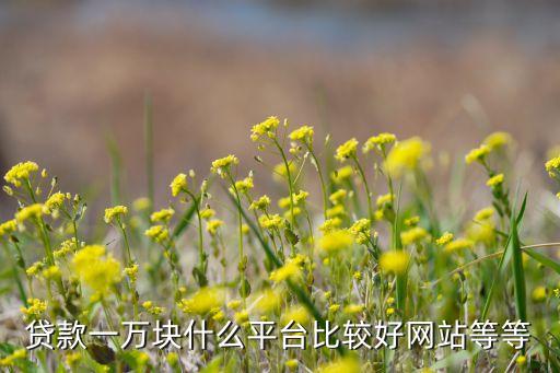 貸款一萬(wàn)塊什么平臺(tái)比較好網(wǎng)站等等