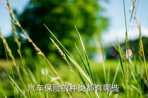 車險(xiǎn)保險(xiǎn)有什么險(xiǎn)種，汽車保險(xiǎn)的有哪些險(xiǎn)種