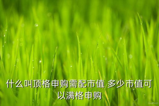 什么是滿格申購，你好什么是頂格申購