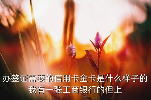 辦簽證需要的信用卡金卡是什么樣子的我有一張工商銀行的但上
