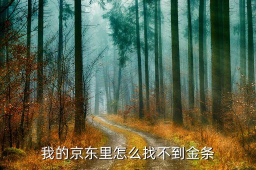 我的京東里怎么找不到金條