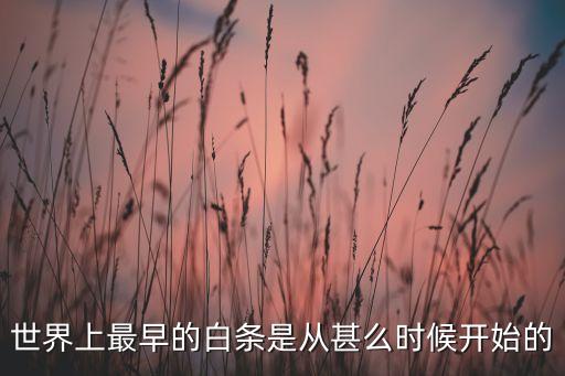 世界上最早的白條是從甚么時(shí)候開(kāi)始的