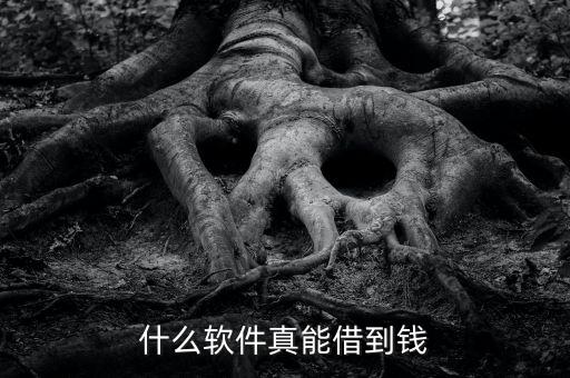 什么軟件真能借到錢