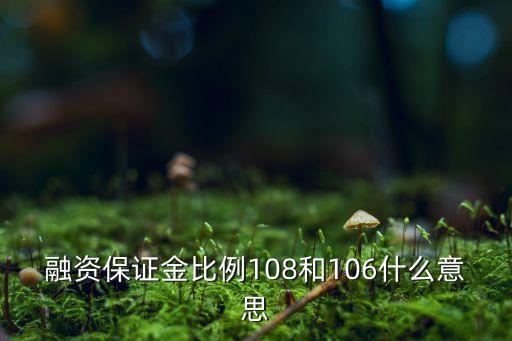 融資保證金比例108和106什么意思