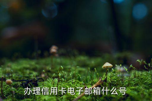 申請信用卡用什么郵箱，辦理信用卡電子郵箱什么號
