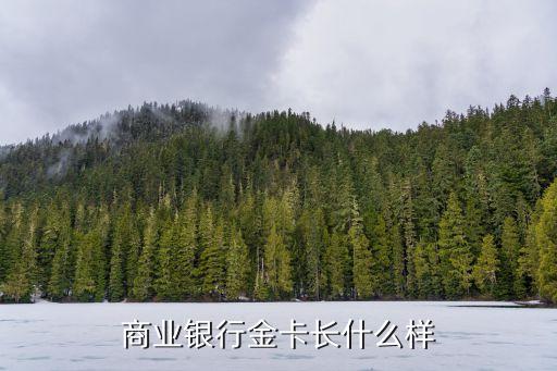 商業(yè)銀行金卡長(zhǎng)什么樣