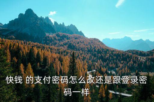 快錢 的支付密碼怎么改還是跟登錄密碼一樣