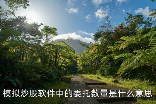 模擬炒股軟件中的委托數(shù)量是什么意思