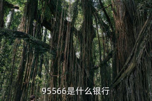 95566是什么銀行