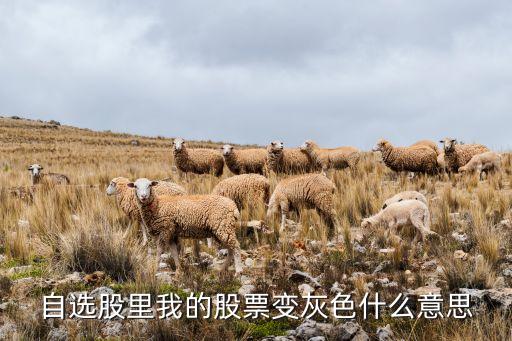 自選股里我的股票變灰色什么意思