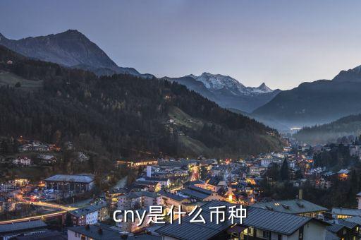 cny是什么貨幣，cny是什么幣種