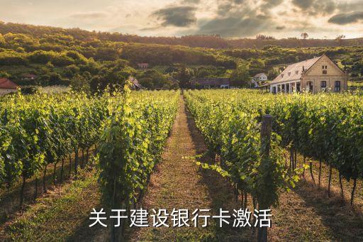 開(kāi)通激活建設(shè)銀行卡需要什么，建行借記卡如何激活