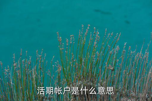 活期儲蓄賬戶是什么，活期帳戶是什么意思