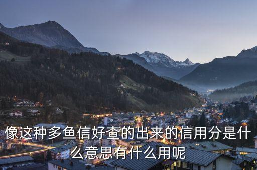 像這種多魚信好查的出來的信用分是什么意思有什么用呢