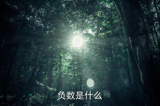 負(fù)數(shù)是什么，什么是負(fù)數(shù)啊