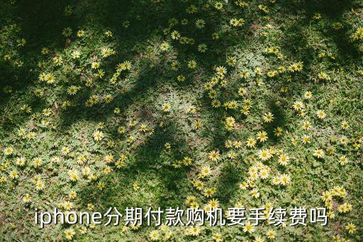 分期買手機(jī)需要什么手續(xù)費(fèi)嗎，iphone分期付款購(gòu)機(jī)要手續(xù)費(fèi)嗎