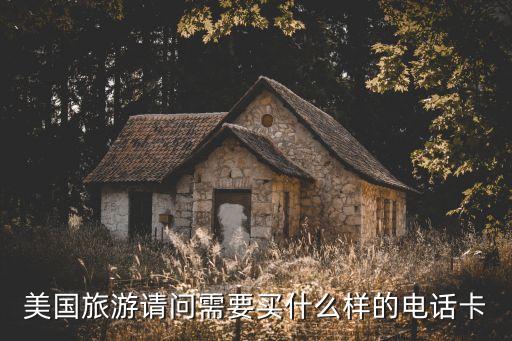 旅游美國(guó)消費(fèi)用什么卡，我想去美國(guó)旅游我應(yīng)該申請(qǐng)什么信用卡合適