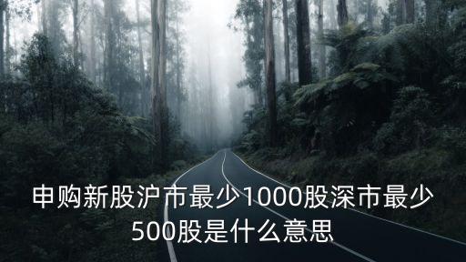 申購(gòu)新股滬市最少1000股深市最少500股是什么意思