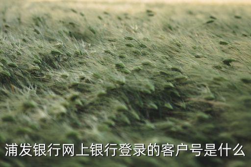 浦發(fā)銀行客戶號是什么，浦發(fā)銀行網(wǎng)銀客戶號是什么