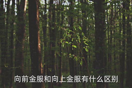 向前金服和向上金服有什么區(qū)別