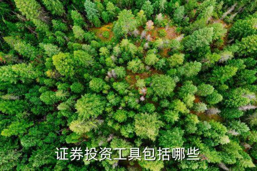 證券投資工具包括哪些
