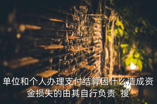 單位和個(gè)人辦理支付結(jié)算因什么造成資金損失的由其自行負(fù)責(zé)  搜