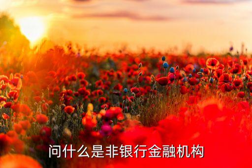 問什么是非銀行金融機(jī)構(gòu)